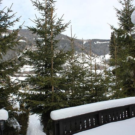 Chalet Heidi Bkk Bad Kleinkirchheim Eksteriør billede